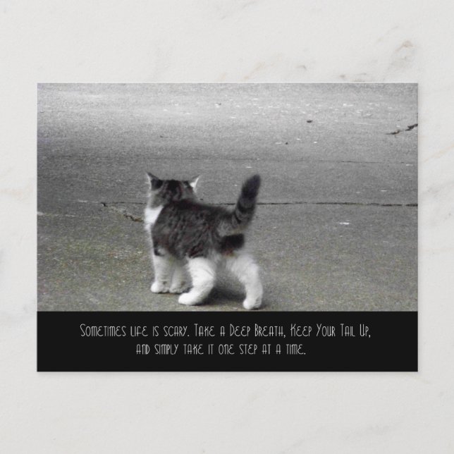 Tarjeta postal de cola hacia arriba (gatito) (Anverso)