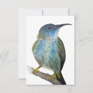 Tarjeta postal de colibrí con tinte azul dibujada
