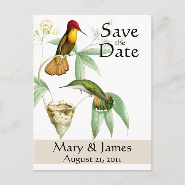 Tarjeta postal de colibríes para guardar la fecha (Anverso)