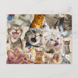 Tarjeta postal de collage de gato