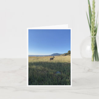 Tarjeta postal de Colorado 5
