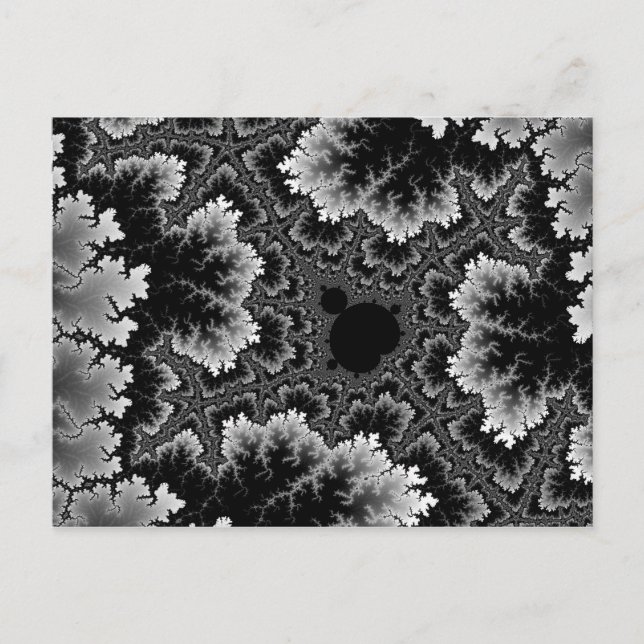 Tarjeta postal de coral blanco (Anverso)