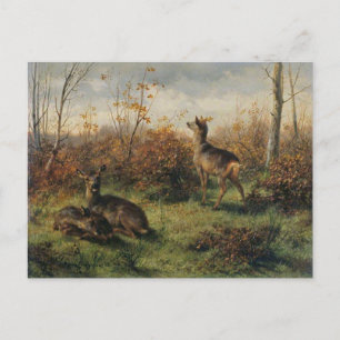 Tarjeta postal de corzo por Rosa Bonheur