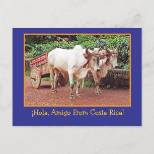 Tarjeta Postal de Costa Rica (bueyes y carreta de