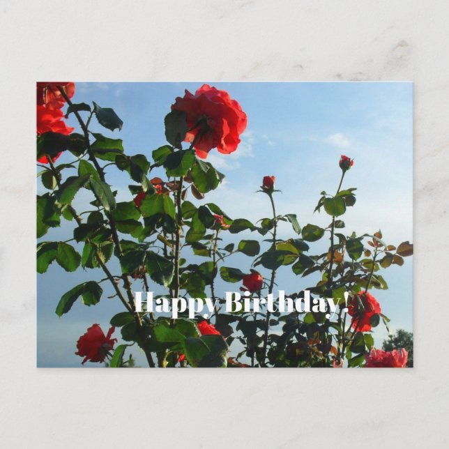 Tarjeta postal de cumpleaños (Anverso)