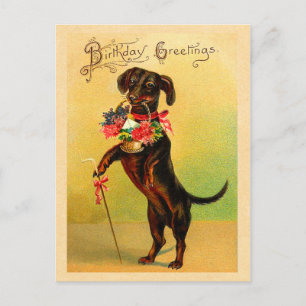 Tarjeta postal de cumpleaños de Cute Dachshund