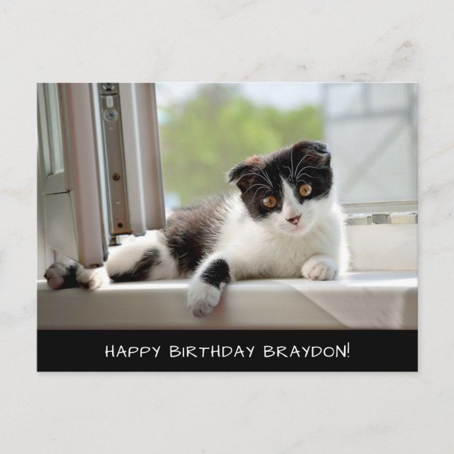 Tarjeta postal de cumpleaños de gato blanco y negr (Anverso)