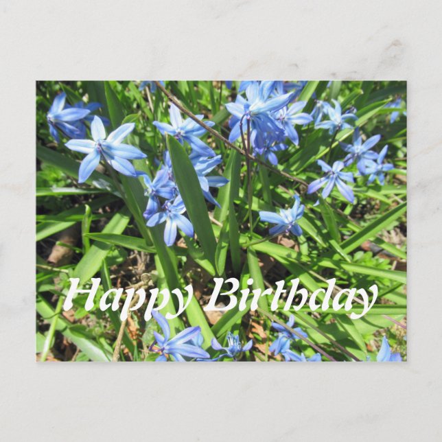 Tarjeta postal de cumpleaños de la foto de la Flor (Anverso)