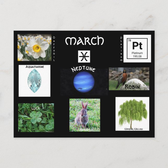 Tarjeta postal de cumpleaños de March Pisces (Anverso)