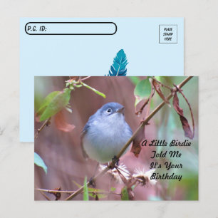 Tarjeta postal de cumpleaños de Postcrossing Littl