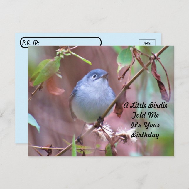 Tarjeta postal de cumpleaños de Postcrossing Littl (Anverso / Reverso)