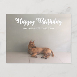 Tarjeta postal de cumpleaños feliz al perro de la 