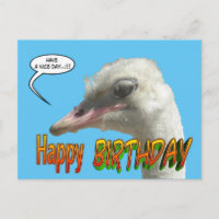 Tarjeta postal de cumpleaños feliz de Ostrich