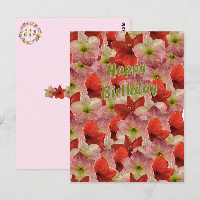 Tarjeta postal de cumpleaños floral de amarilis (Anverso / Reverso)