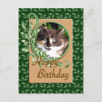 Tarjeta postal de cumpleaños Green Eyed Calico Kit