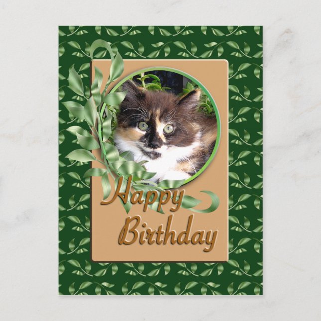 Tarjeta postal de cumpleaños Green Eyed Calico Kit (Anverso)