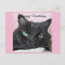 Tarjeta postal de cumpleaños para gato negro