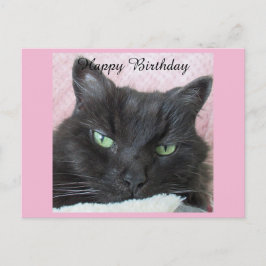 Tarjeta postal de cumpleaños para gato negro