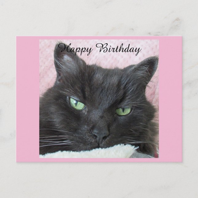 Tarjeta postal de cumpleaños para gato negro (Anverso)