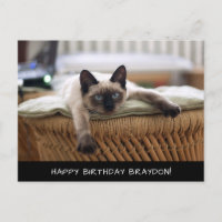 Tarjeta postal de cumpleaños para gato siamés