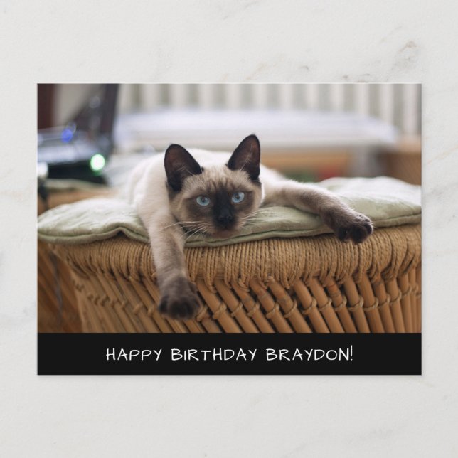 Tarjeta postal de cumpleaños para gato siamés (Anverso)