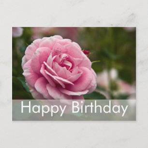 Tarjeta postal de cumpleaños Rosa Geburtstagskar