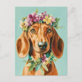 Tarjeta postal de dachshund con acuarela