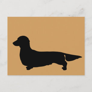 Tarjeta postal de Dachshund de pelo largo