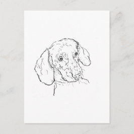 Tarjeta postal de Dachshund – Ilustración de perro