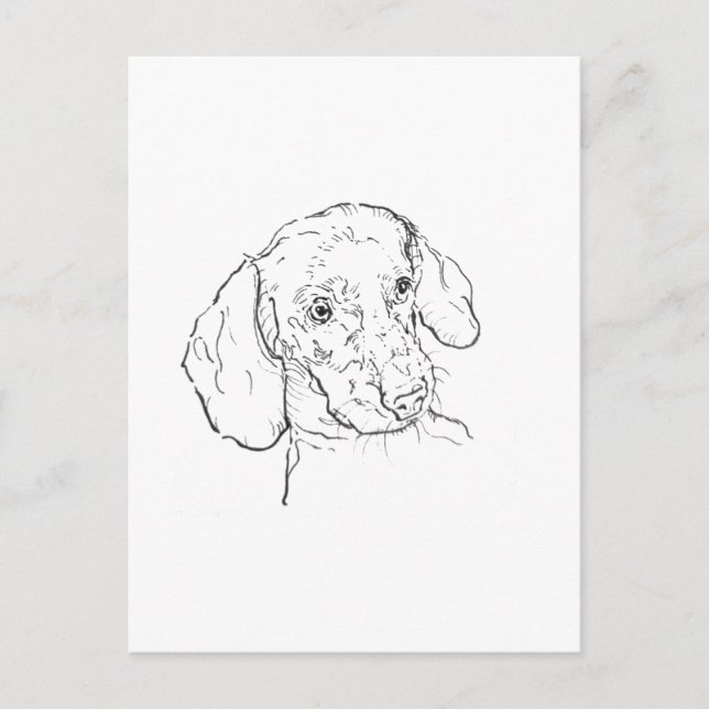 Tarjeta postal de Dachshund – Ilustración de perro (Anverso)