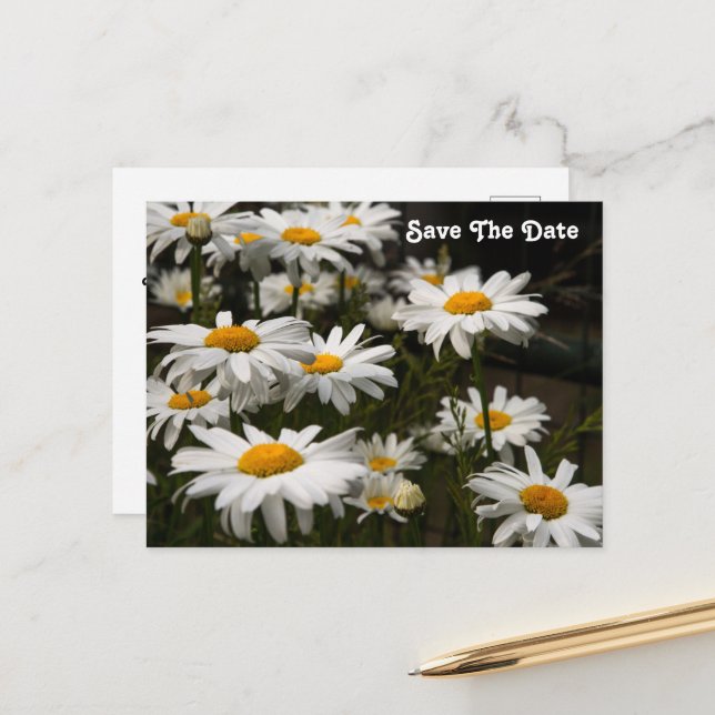 Tarjeta Postal de Daisy Save The Date (Anverso/Reverso In Situ)