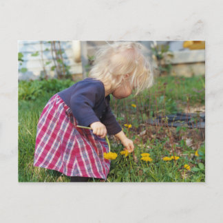 Tarjeta postal de Dandelions
