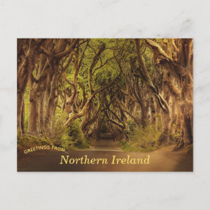 Tarjeta postal de Dars Hedges Northern Ireland
