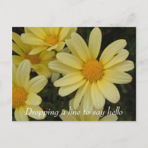 Tarjeta postal de dejar una línea para decir hola