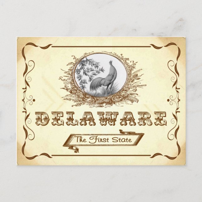 Tarjeta postal de Delaware de 1910 antigua (Anverso)