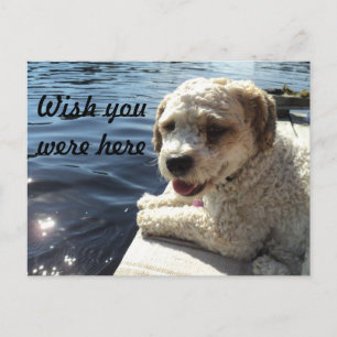 Tarjeta postal de deseo de que estuvieras aquí