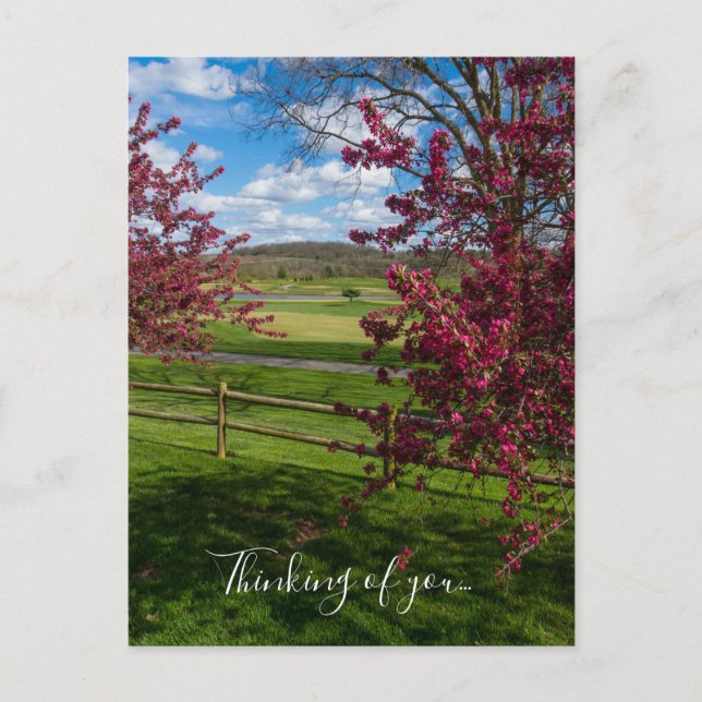 Tarjeta postal de día de primavera en Rivercut pen (Anverso)