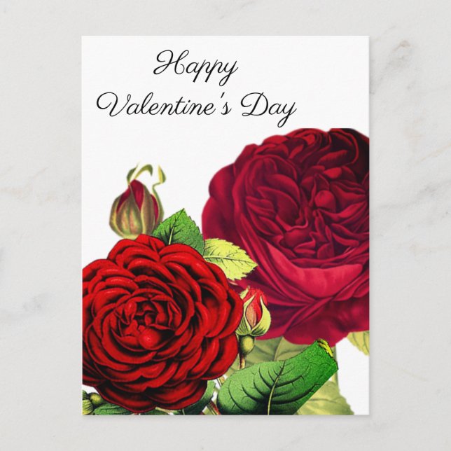 Tarjeta postal de día de San Valentín de rosas roj (Anverso)