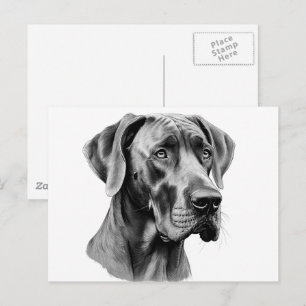 Tarjeta postal de dibujo de cabeza de Gran Danés