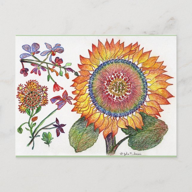 Tarjeta postal de dibujo de girasol temprano (Anverso)