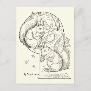 Tarjeta postal de dibujo de ilustración de ardilla