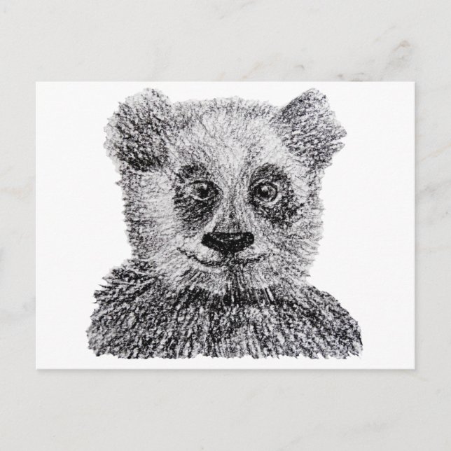 Tarjeta postal de dibujo de panda (Anverso)
