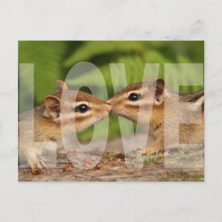Tarjeta postal de diseño de amor para bebé de Chip