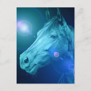 Tarjeta postal de diseño equino