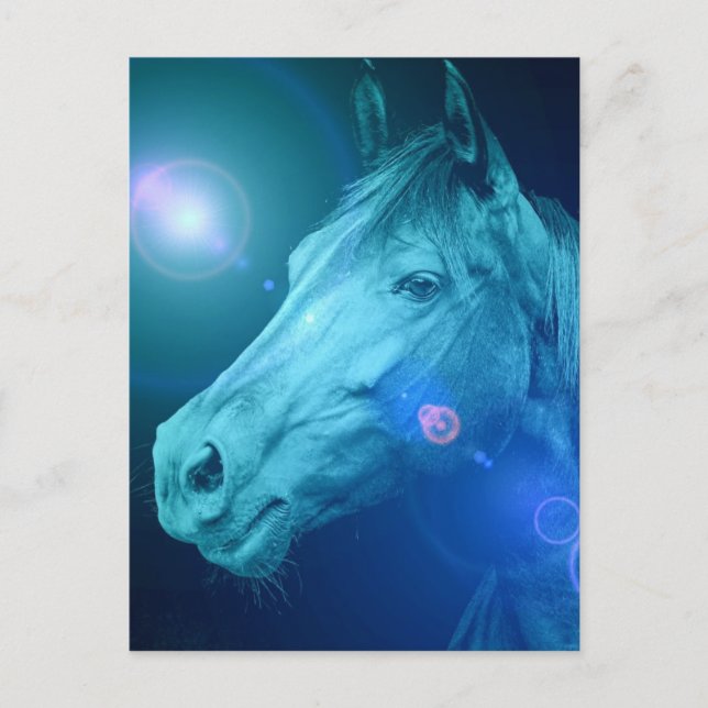 Tarjeta postal de diseño equino (Anverso)