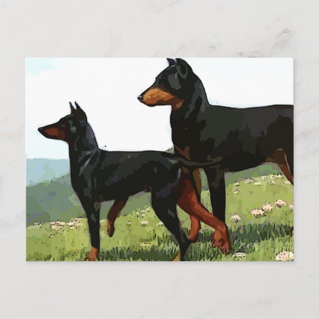 tarjeta postal de doberman pinchers pintada (Anverso)