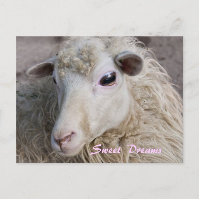 Tarjeta postal de dulces sueños (Anverso)