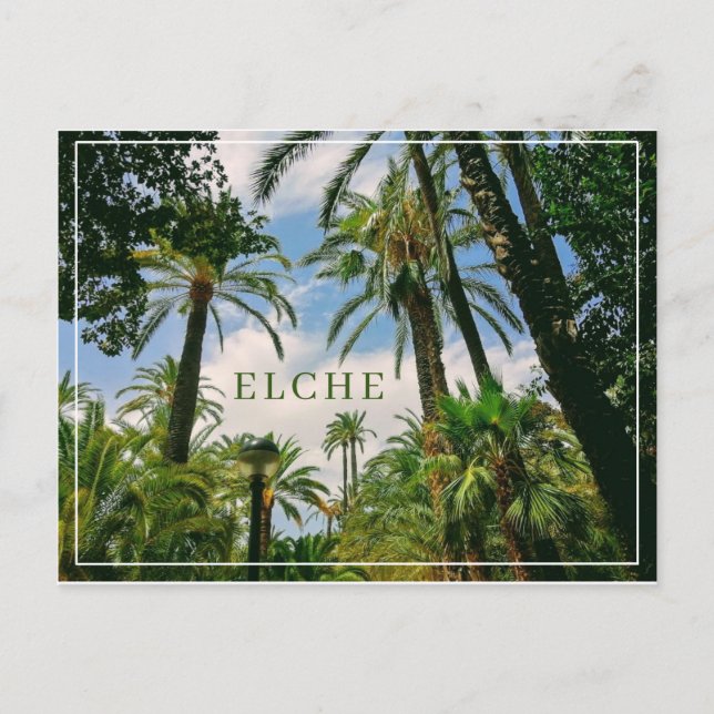 Tarjeta postal de Elche  (Anverso)