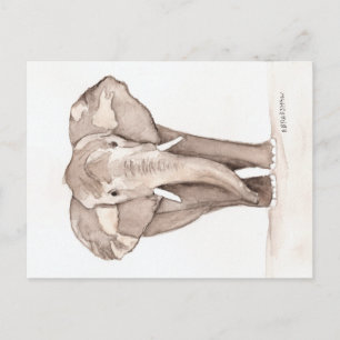 tarjeta postal de elefante