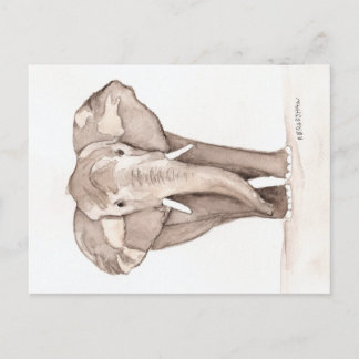 tarjeta postal de elefante